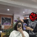 유미헤어샵 - 부산진구 | 유미헤어샵
