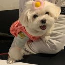 경태농장 이미지