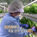 스마트농장 이미지