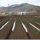 솔마당마을 이미지