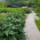 다우 농장 이미지