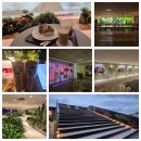 플랜트 황지연못 라운지 | [서울대형카페] 홍대카페 추천해요! ㅎㄷ카페 리얼 방문 후기