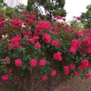 계양체육관 이미지