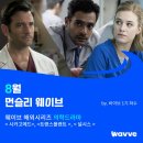 토리메드 이미지