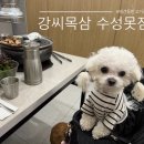 개정수성못점 | 대구 수성못 애견동반식당 추천 | 강씨목삼 삼겹살 맛집