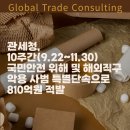 지티씨9 이미지