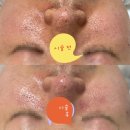 청춘길체육관 네이버블로그