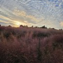 서귀포365일의원 이미지