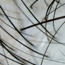 허종한의원 이미지