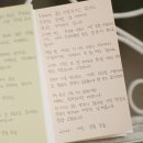 내 쓸쓸함은 차갑지 않아요 / 19번째 주간일기(10.10~10.16)