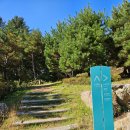 동두천자연휴양림 이미지