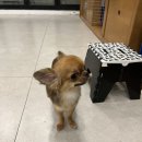 멍클래스 이미지