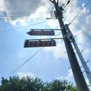 수성최씨시조묘 이미지