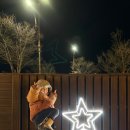 굴나라칼국수 | ｜부여 맛집 해물칼국수 ｜양만타조개나라 후기 ｜