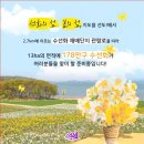 4월12일(토)~13일(일)신안 임자도튤립및선도수선화축제 이미지