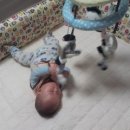 두성세탁 이미지