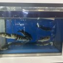 현복집(판교점) 이미지