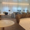 시나 | 인천 신포동 게이샤커피 맛집 | 개항장거리 카페 시나루 후기