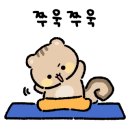 더블에스플라이 이미지