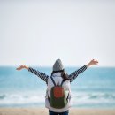 제주파크장 이미지