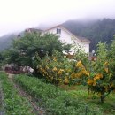 갈천농장 이미지