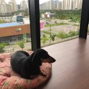 코코앤몽 이미지