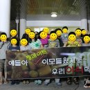 푸드메이트 이미지