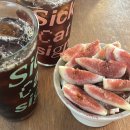 북연 | 북극의 열대어 재재방문 후기 ♡ 젤라또가 아늑하고 가게가 맛있어요