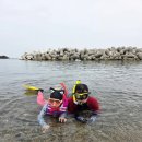 수렴항 화장실 | 숨은 스노쿨링 명소, 프리다이빙 하기 좋은 국내 바다! 양남 수렴방파제