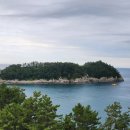 실안장어촌 이미지