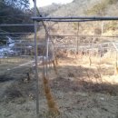 만선농장 이미지