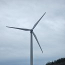 원두막목장 | 평창 대관령 양떼목장 * 강릉 정동진 * 강릉시장까지! 아이와 강원여행 1일차 후기