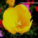 사랑의마을 노인요양 공동생활가정 | 일산요양원 일산무지개마을노인요양공동생활가정 전문적인 요양 서비스