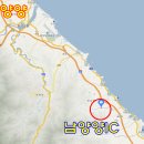 소나무농원 캠핑장 이미지