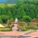 평림댐장미공원 이미지