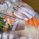 돼지수산 | 가락시장 온달수산 돼지 방어회 모둠 중자 솔직후기ㅣ방어모둠 중자 소자 크기 비교