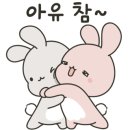 모던플로라