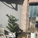 씨에프(CF)모텔 이미지