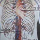 동계한의원 이미지