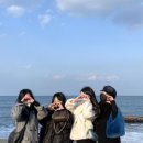 꿀꿀이포장마차
