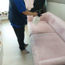 자연드림 홍성점 | 홈케어드림팀 홍성점 익산 모현동 배산휴먼시아아파트...의자청소 받고 달라진 집안 분위기, 소파케어 후기