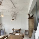 백병원 비자 신체검사 &amp; 부산 여행