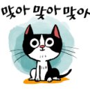 대천여자고등학교 이미지