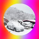 266 | 캠핑의 기준을 다시 보게 된 홍천캠핑장 추천, 알지캠프266 후기