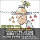 솜라이 이미지