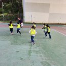 강남구청어린이집 이미지