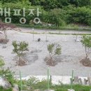 달무리캠핑장 이미지