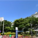 부산광역시 남구청 이미지