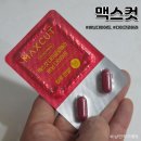 다이어트 보조제 추천 하루한알 헬스헬퍼 맥스컷 다이글로메라 버닝다이어트 후기