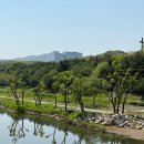 백현다리길 이미지